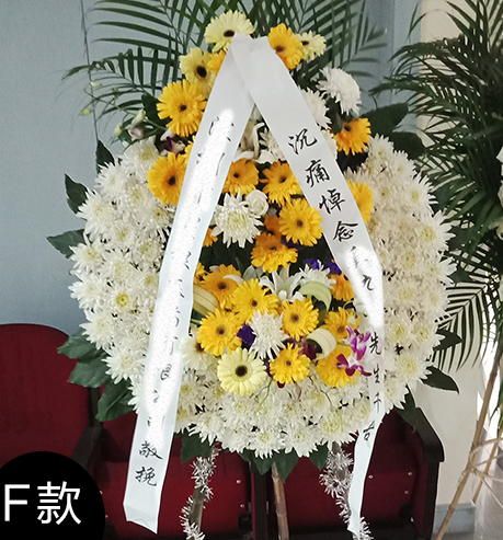 F款